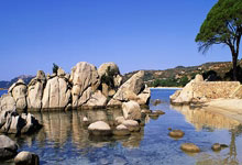 克罗地亚vs巴西的比赛有哪些精彩回放瞬间？